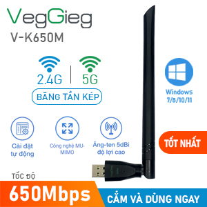 USB wifi VegGieg-V-K650M